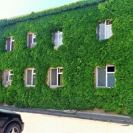 Hotel Lilo Near Airport Tiflis Dış mekan fotoğraf