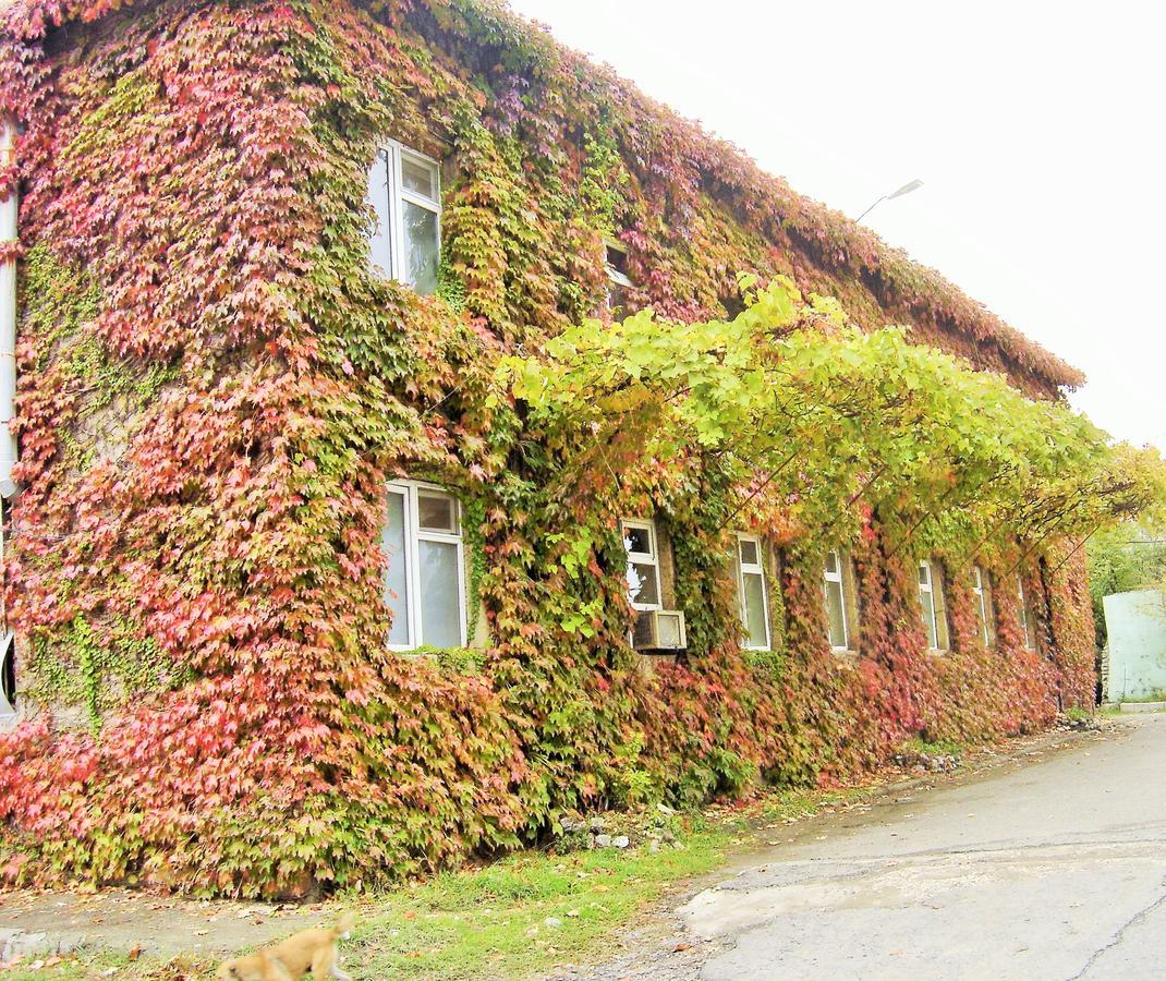 Hotel Lilo Near Airport Tiflis Dış mekan fotoğraf